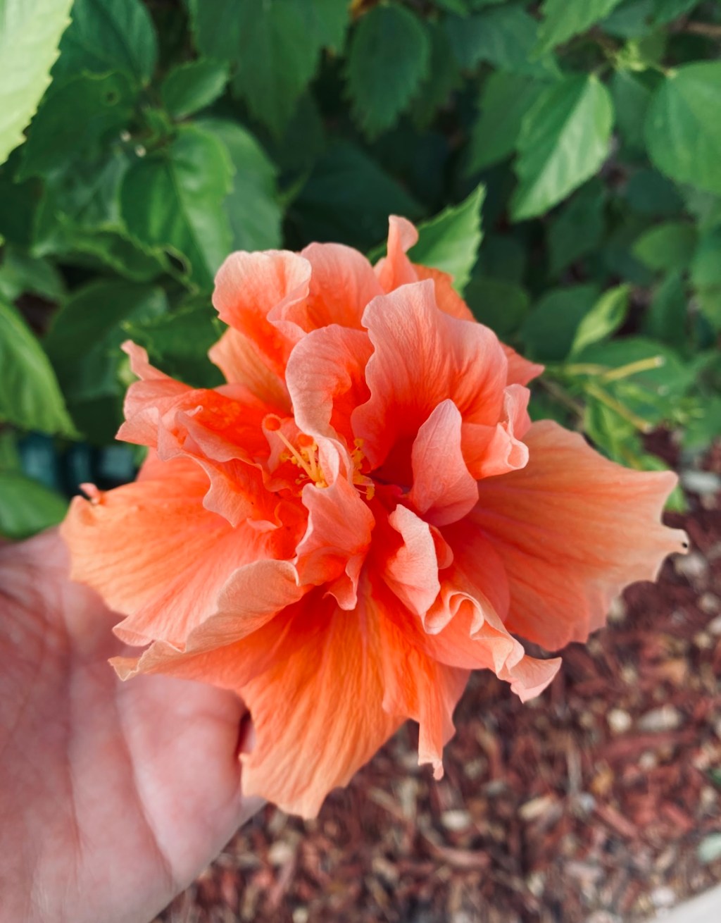 The Life That You&nbsp;Need