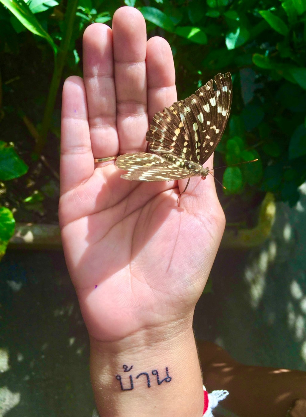 The Illusion of Feeling&nbsp;Lost