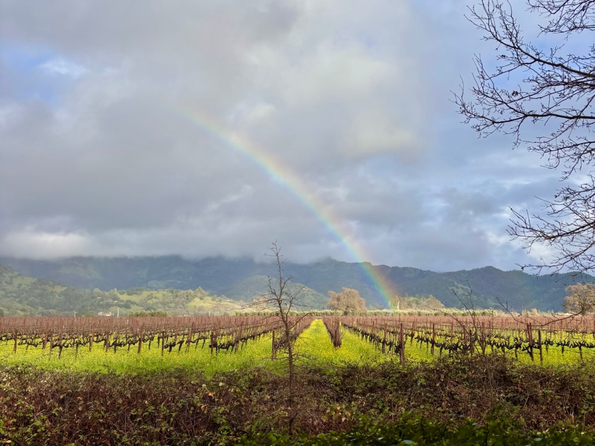 Maybe in Another&nbsp;Universe